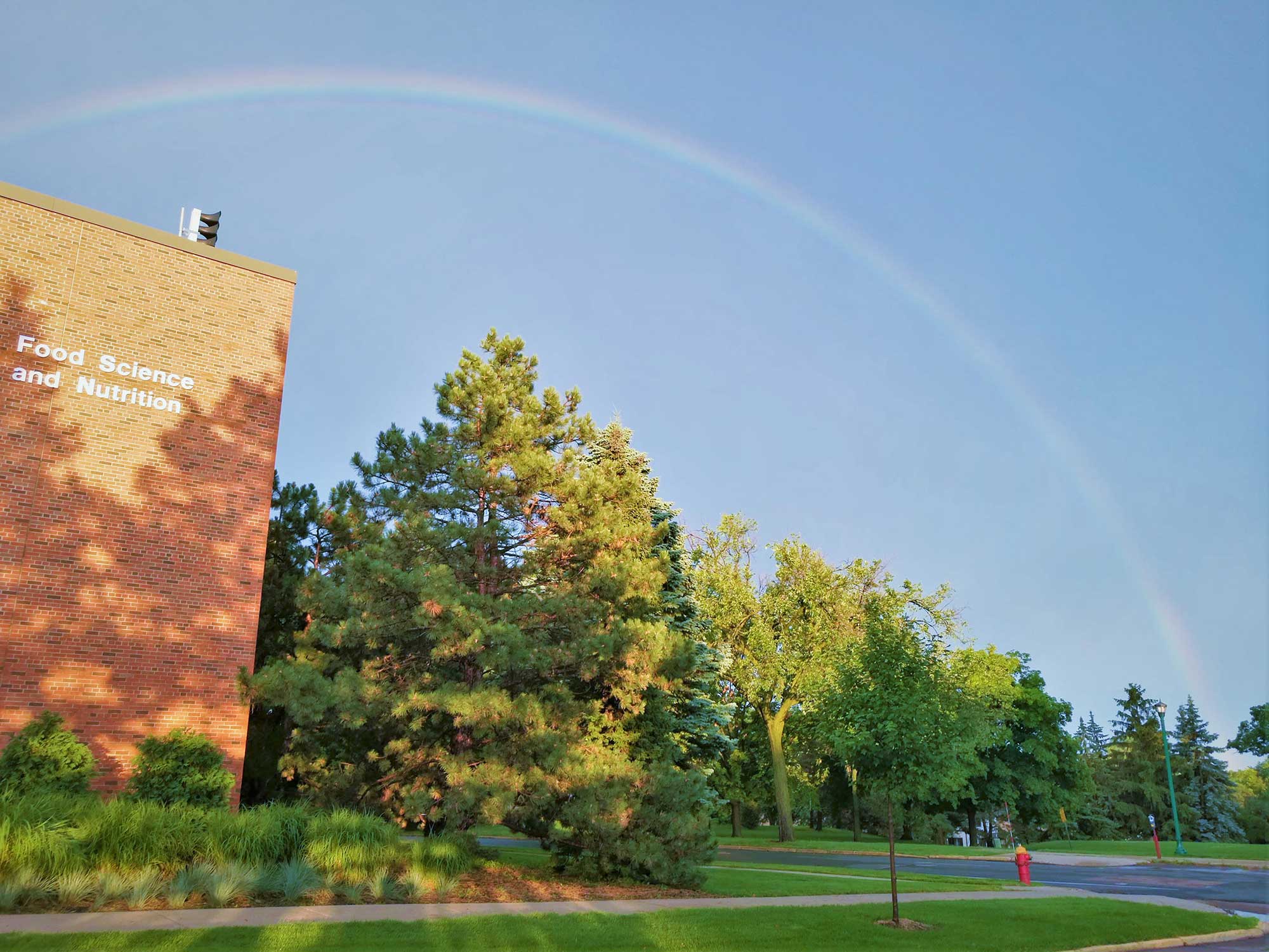 FSCN building with rainbow.